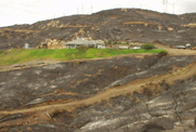 Defensible Space protected this home. Neither fire crew or owner were present.